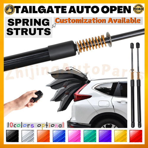 Auto open tailgate spring - auto, gas